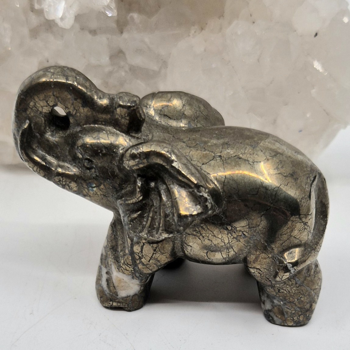 Elefant pyritt
