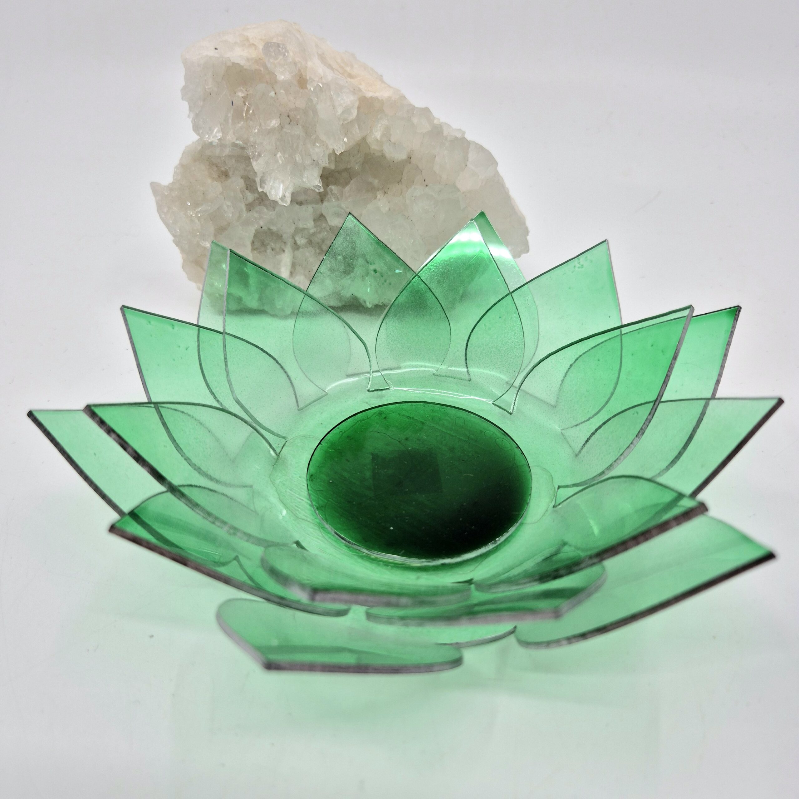Lotus grønn