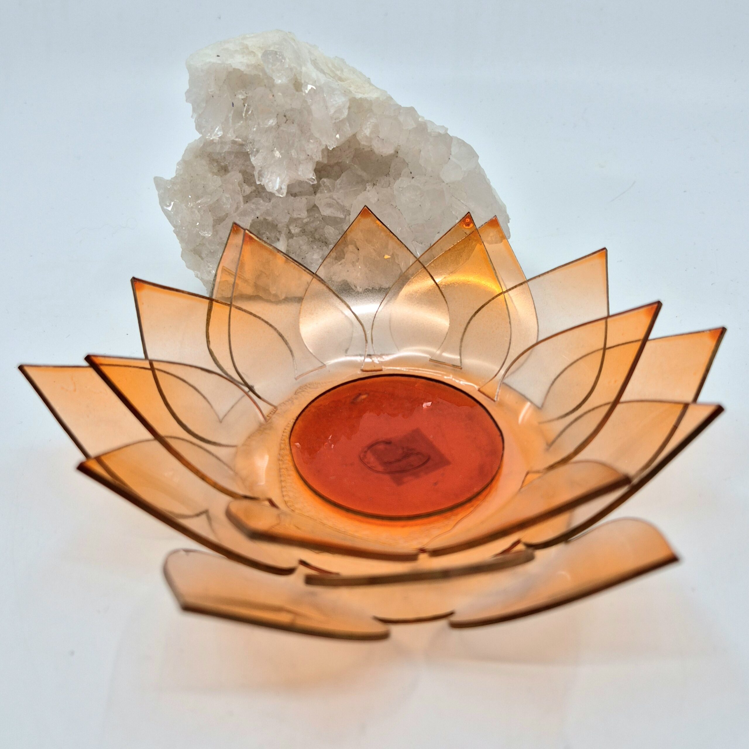 Lotus orange